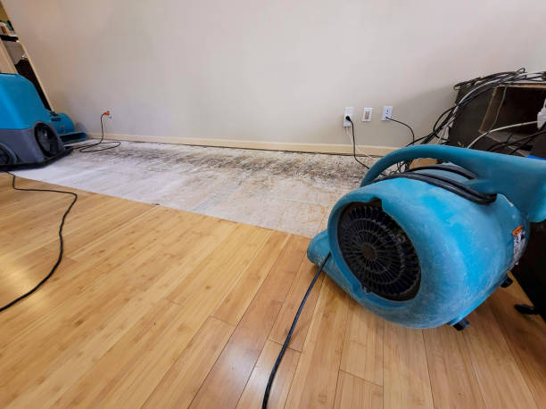 Professional Ceiling Water Damage Repair technician working in Akron, IA